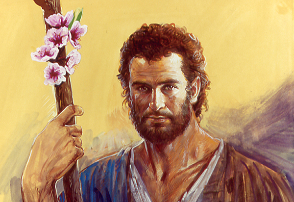 Josipov procvjetali štap